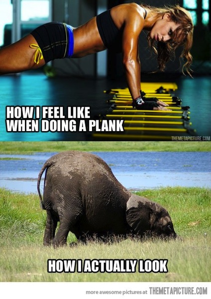 Planks