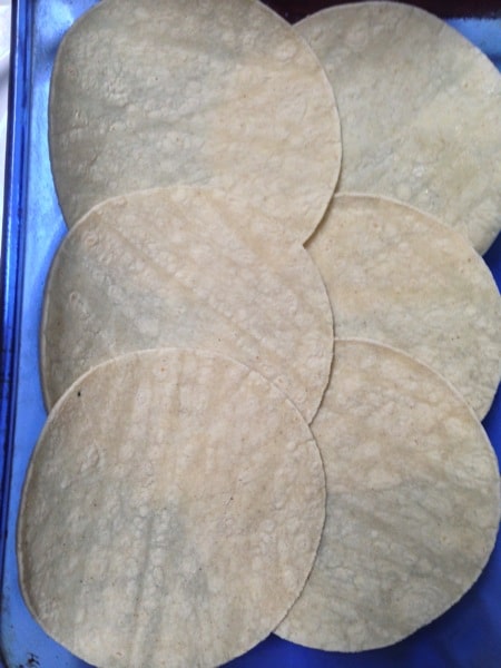 tortilla bottom.JPG Tortilla bottom