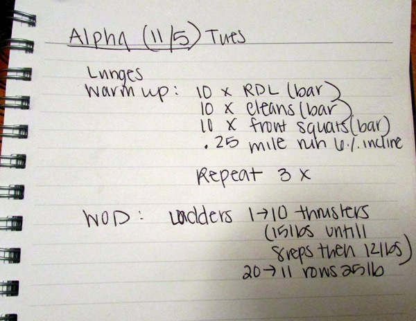 Alpha workout