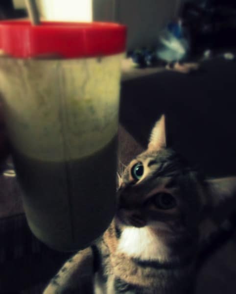 Pumpkin green protein smoothie