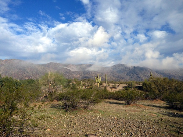 Mtn3