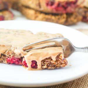cranberry-date-quinoa-flax-bars-image