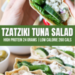 tzatziki tuna pita