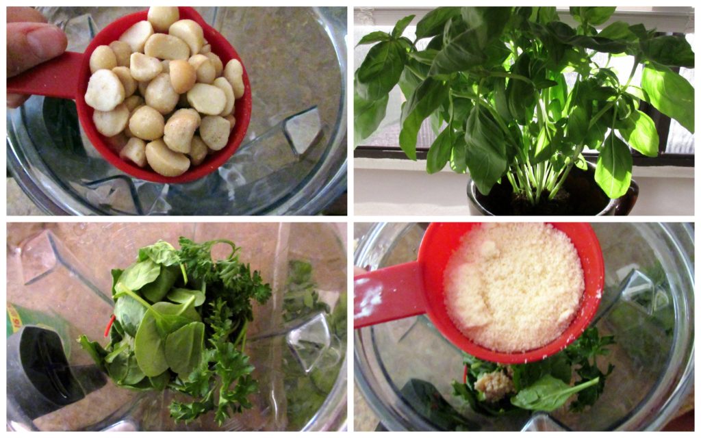 Herb Pesto Collage