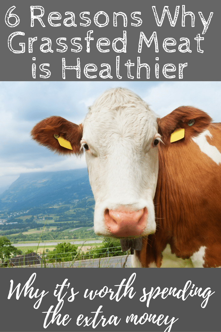 6 Health Benefits of Grassfed Meat and Dairy - Hungry Hobby