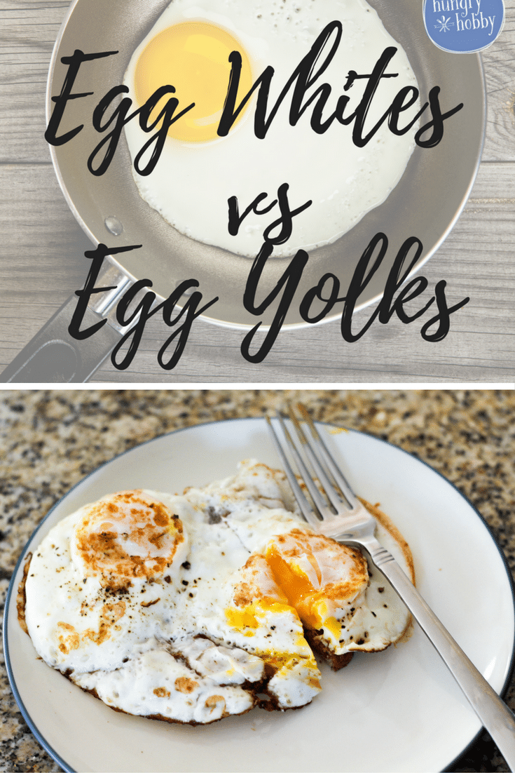 Yolks vs. Whites Stand Off - Hungry Hobby