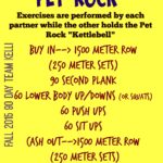 pet-rock-workout