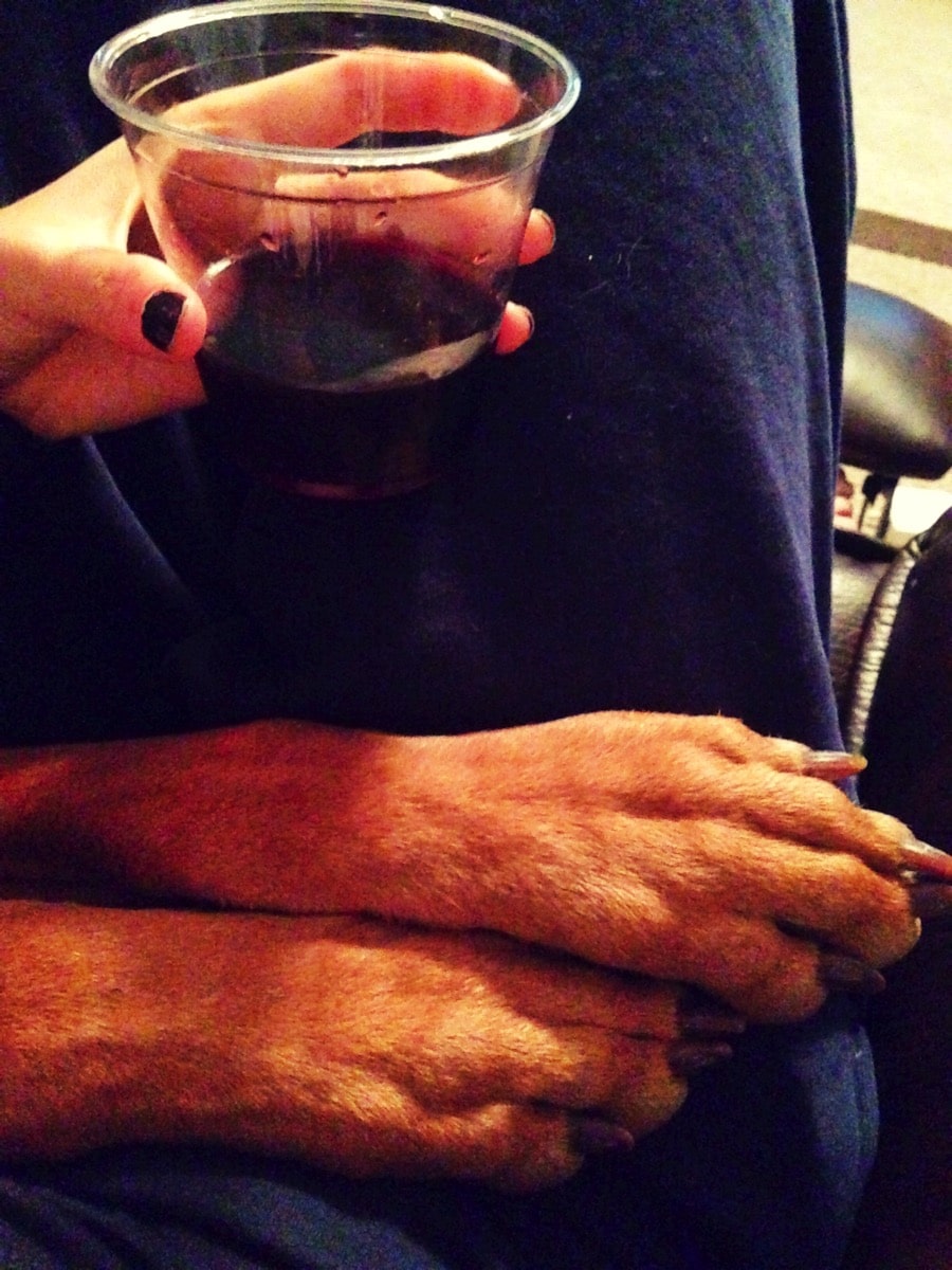 Nala paws and wine