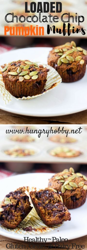 chocolate-chip-pumpkin-muffins-gluten-grain-and-dairy-free-recipe-via-hungryhobby-net