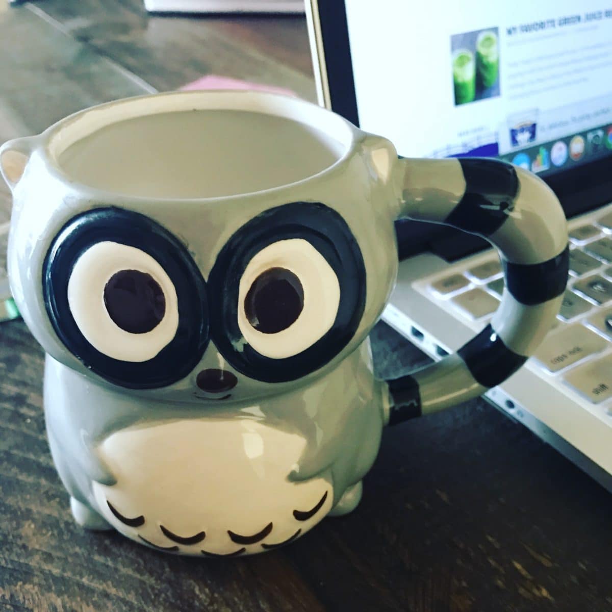 raccoon coffee cup