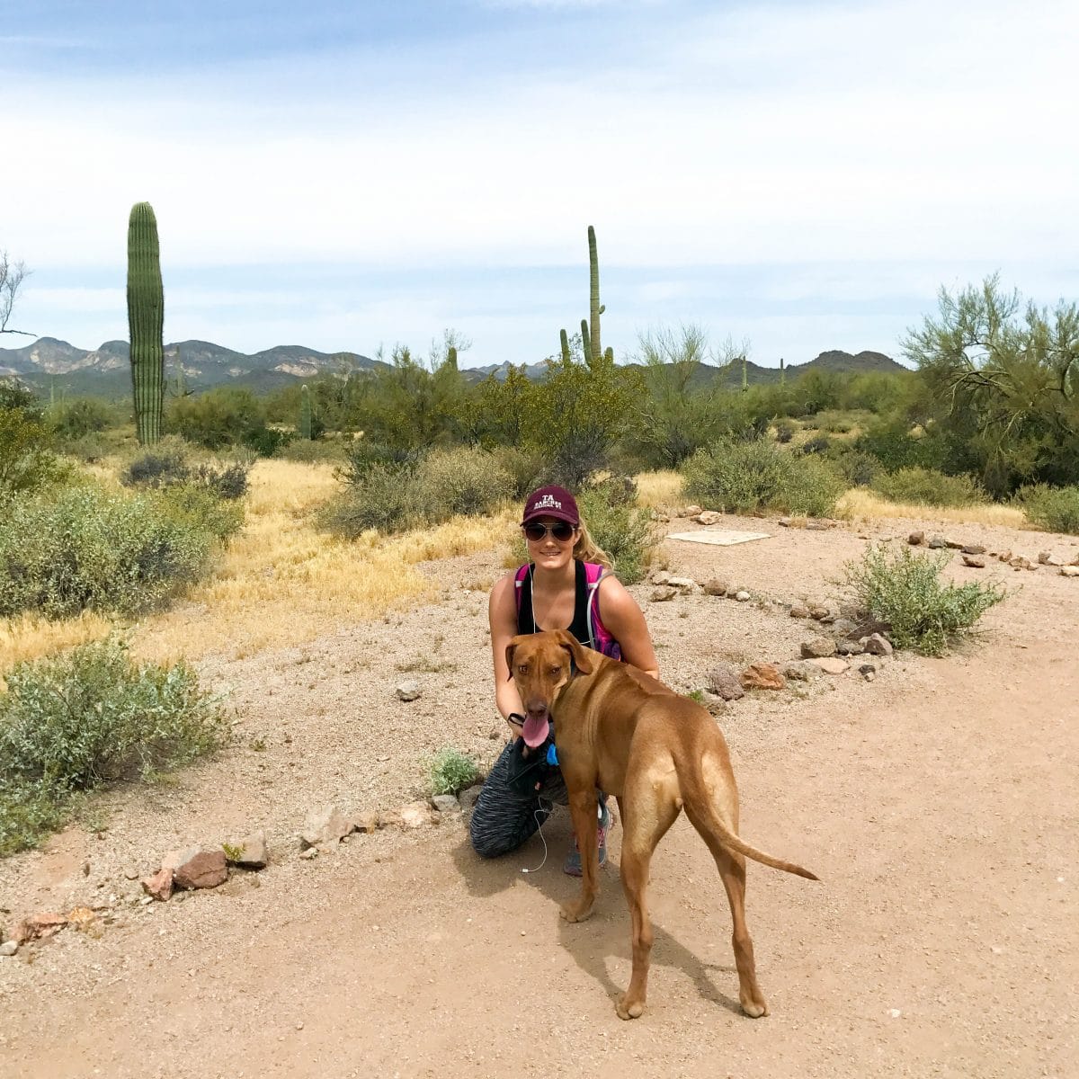 hiking-rhodesian-ridgeback