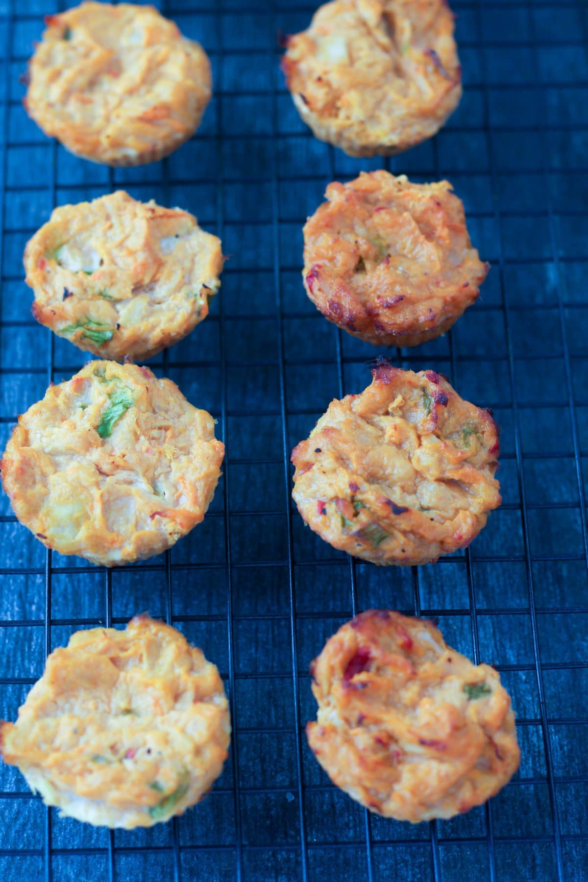 Spicy-Tuna-Hummus-Cakes-image