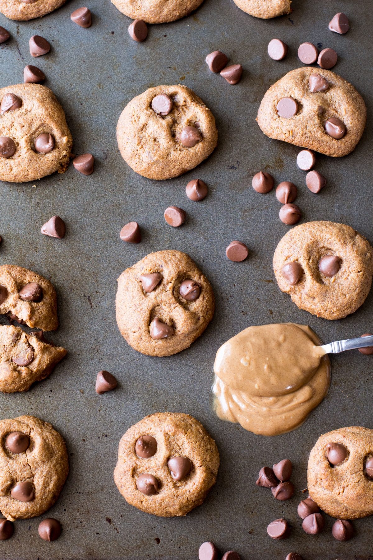 paleo-chocolate-chip-cookies-image