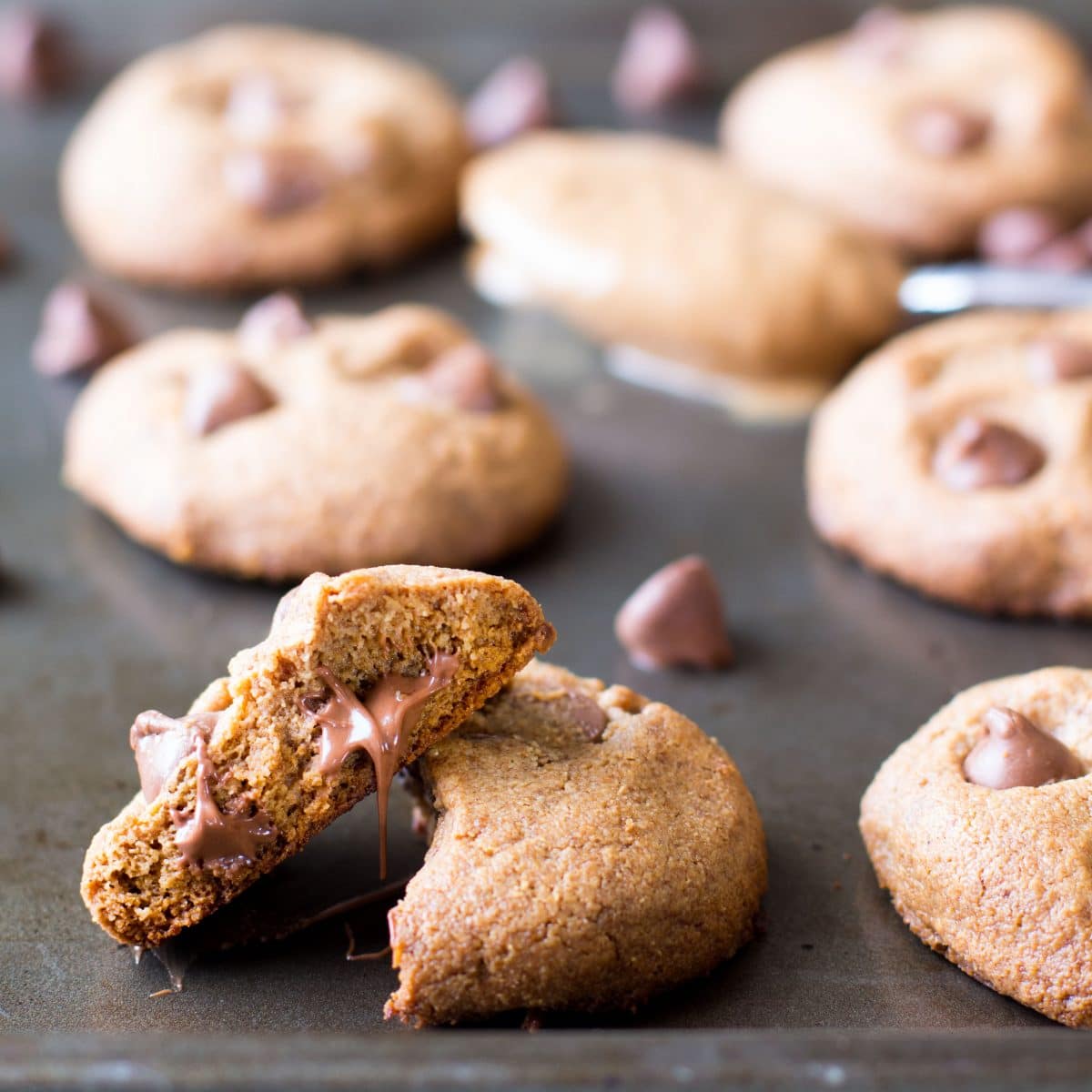 chocolate-chip-cookies-image