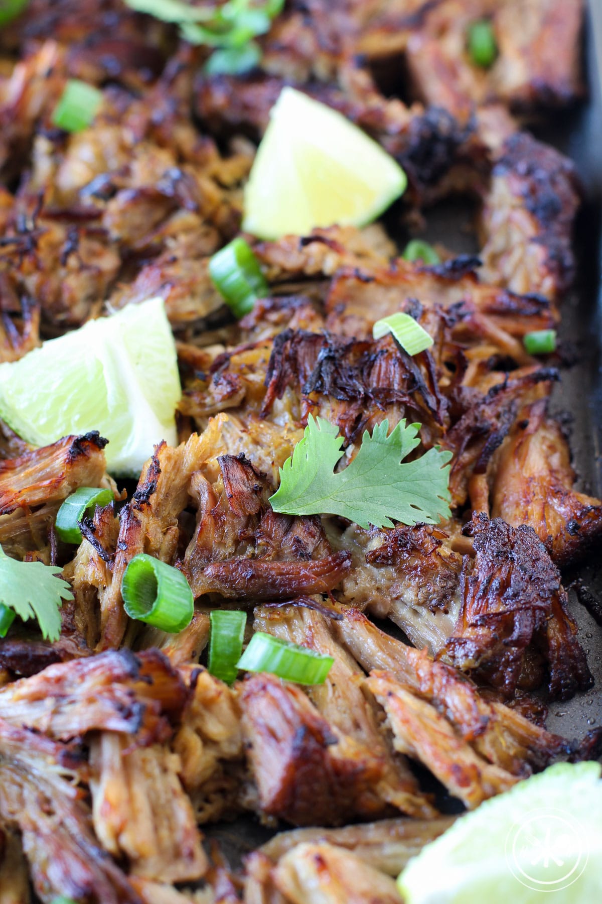 Crispy Mexican Pulled Pork Instant Pot