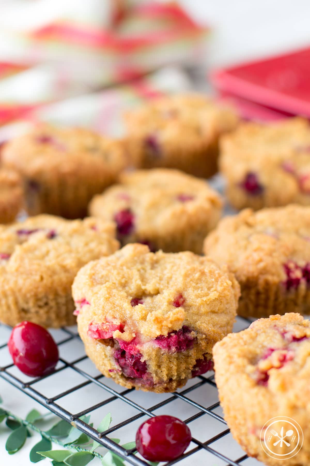 Paleo Cranberry Orange Muffins