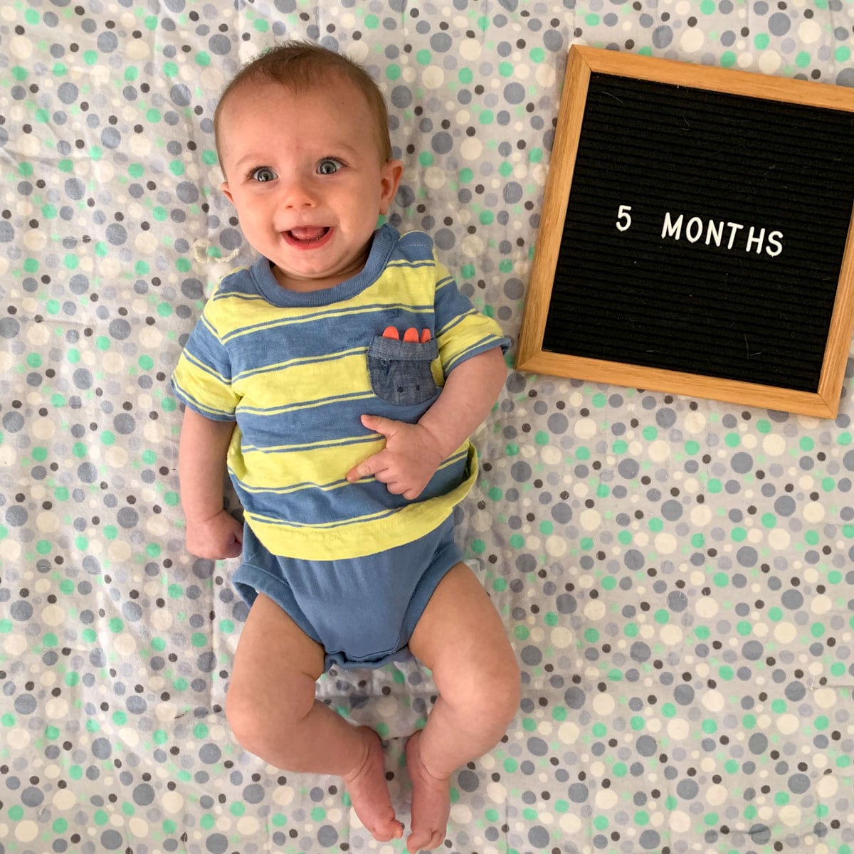 Dear Baby K - 5 Months - Hungry Hobby