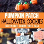 Pumpkin Patch Halloween Cookies Recipe