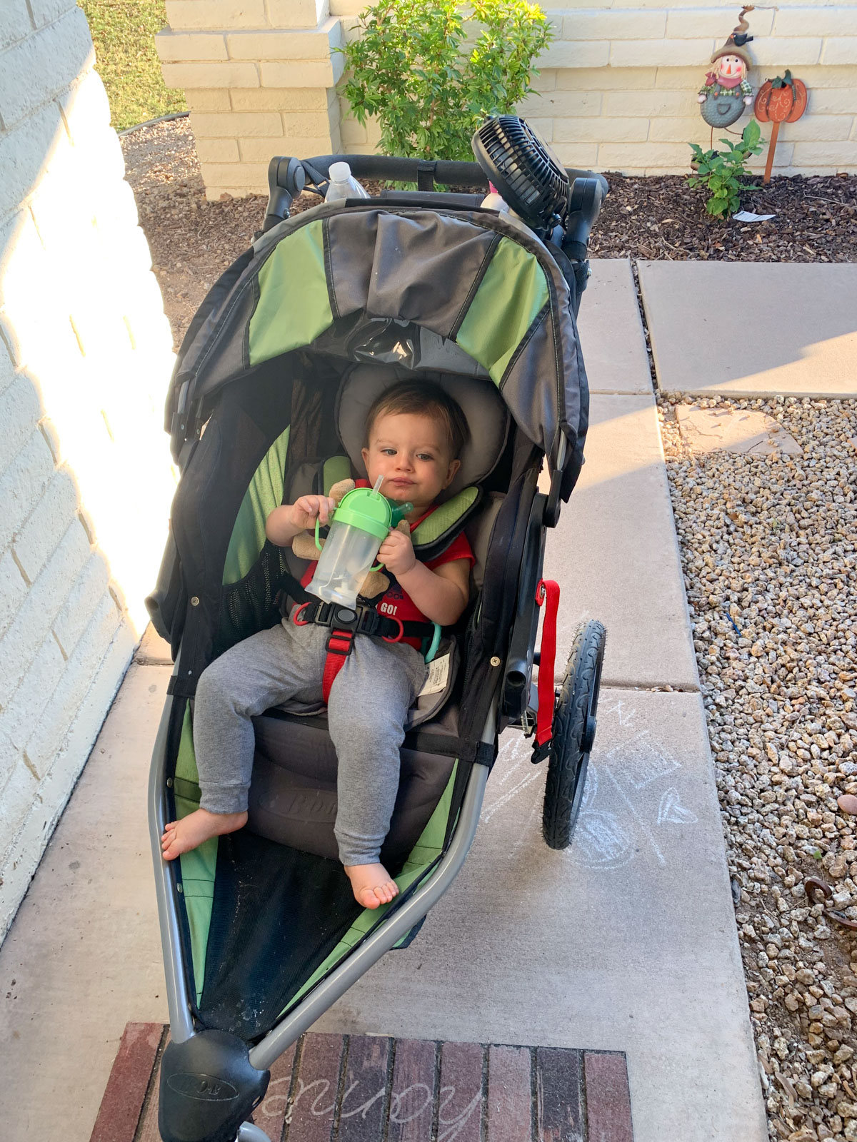 12 month old baby in stroller