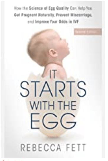 screenshot for the book cover it starts with the egg