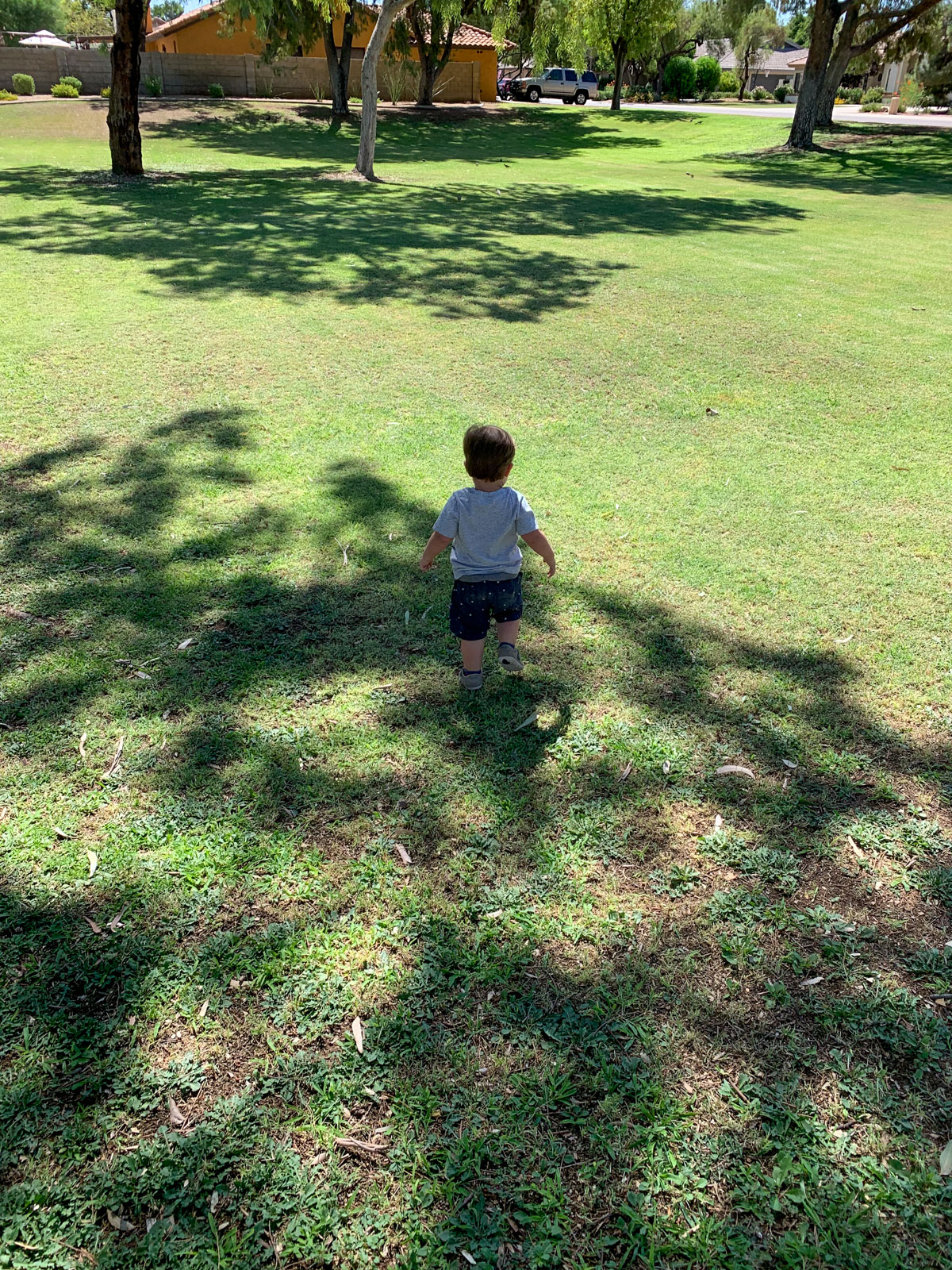 toddler in big green field