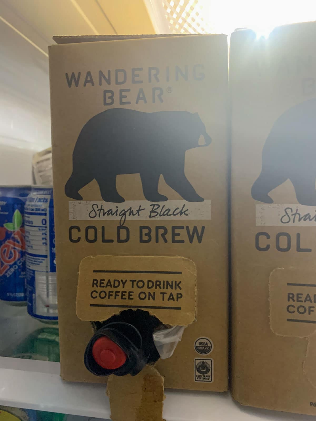 wandering bear cold brew container 