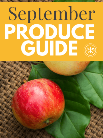 produe guide spetember graphic of apple