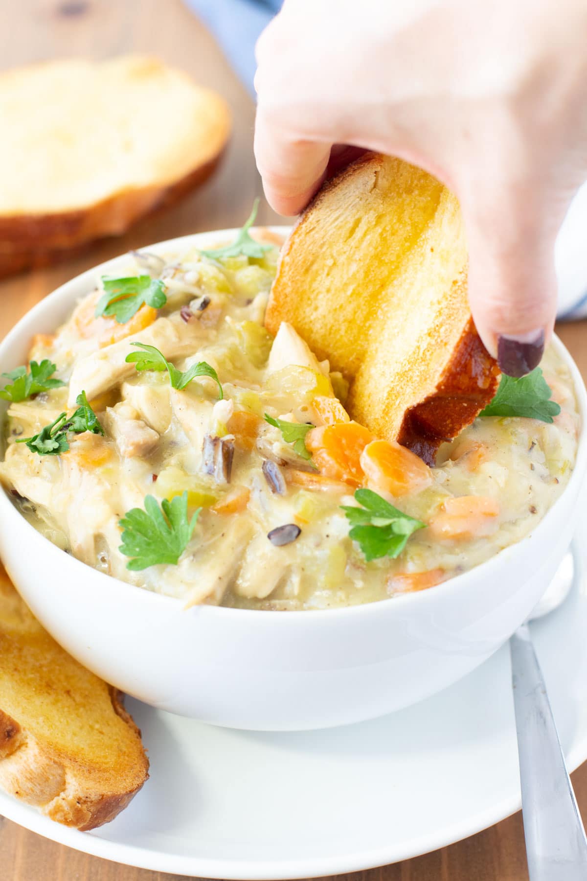 turkey and wild rice soup plus toasted bagette
