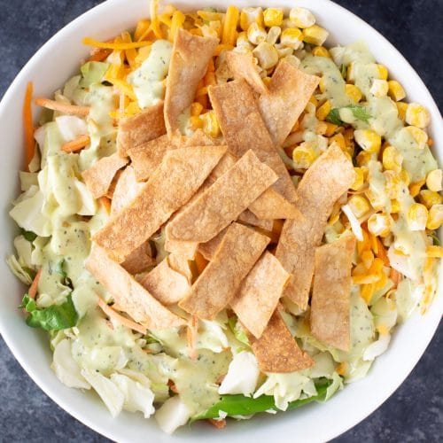 Air Fryer Tortilla Strips Hungry Hobby