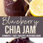 blueberry chia seed jam PIN
