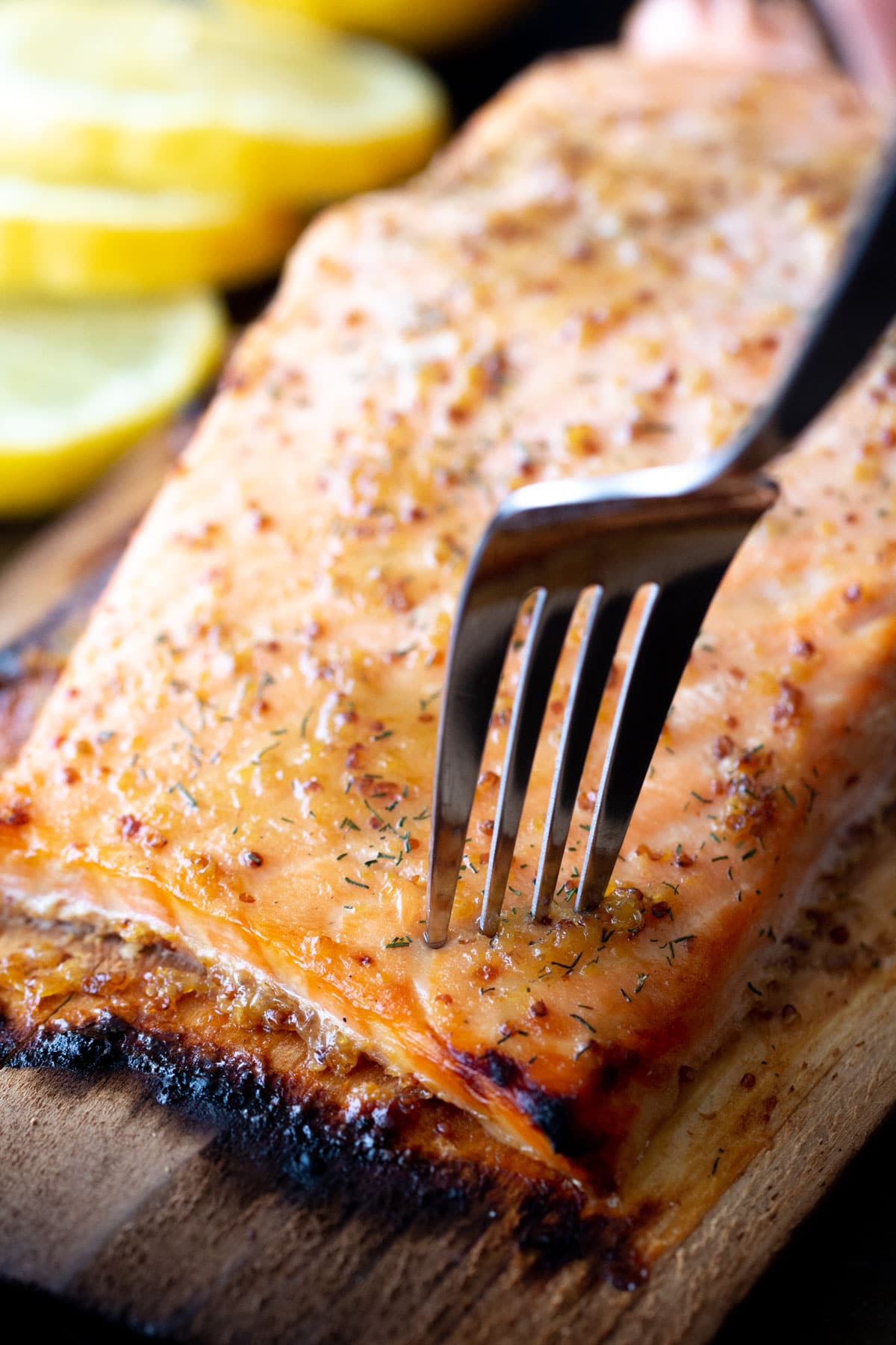 cedar plank salmon on the grill