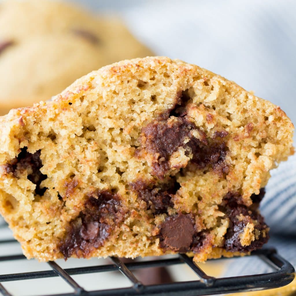 Oat Flour Chocolate Chip Muffins Hungry Hobby
