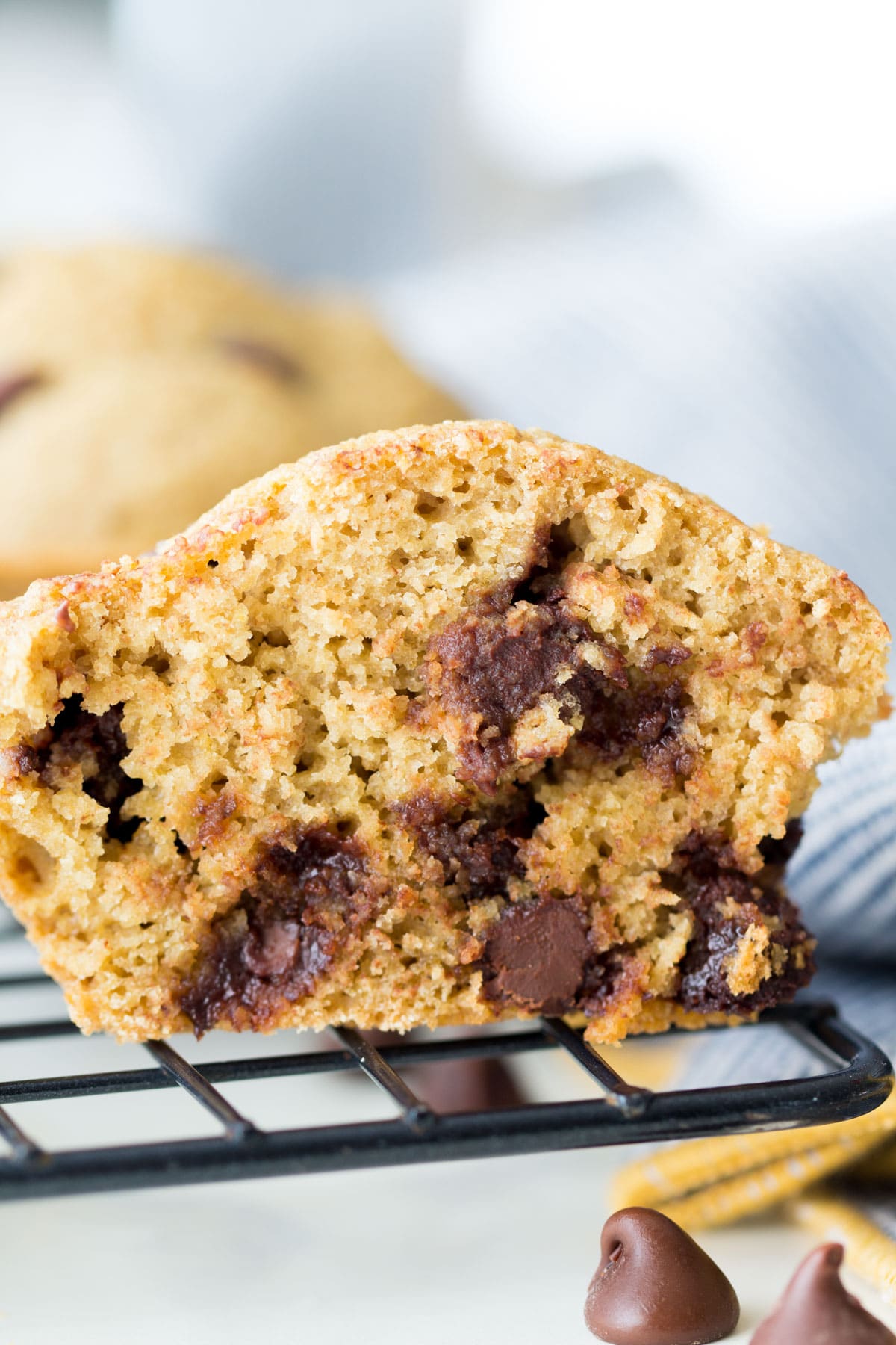 oat flour chocolate chip muffins