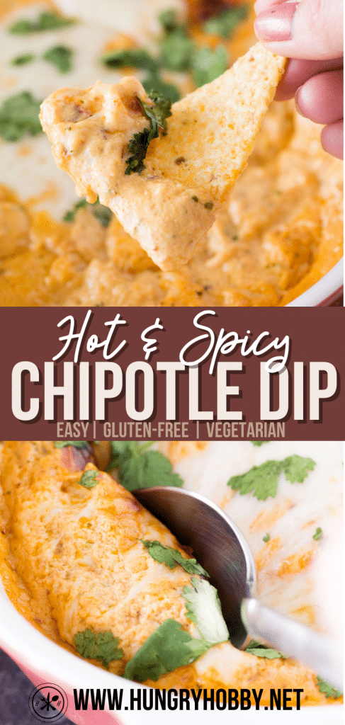 Hot & Spicy Chipotle Dip - Hungry Hobby