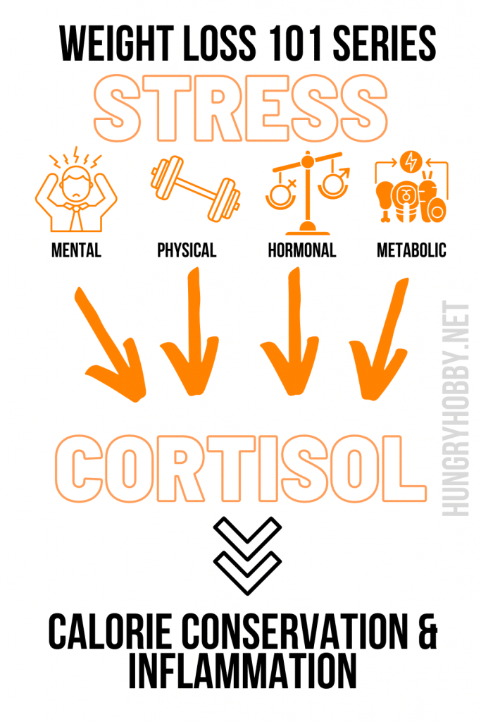 Stress and Weight Loss Hungry Hobby