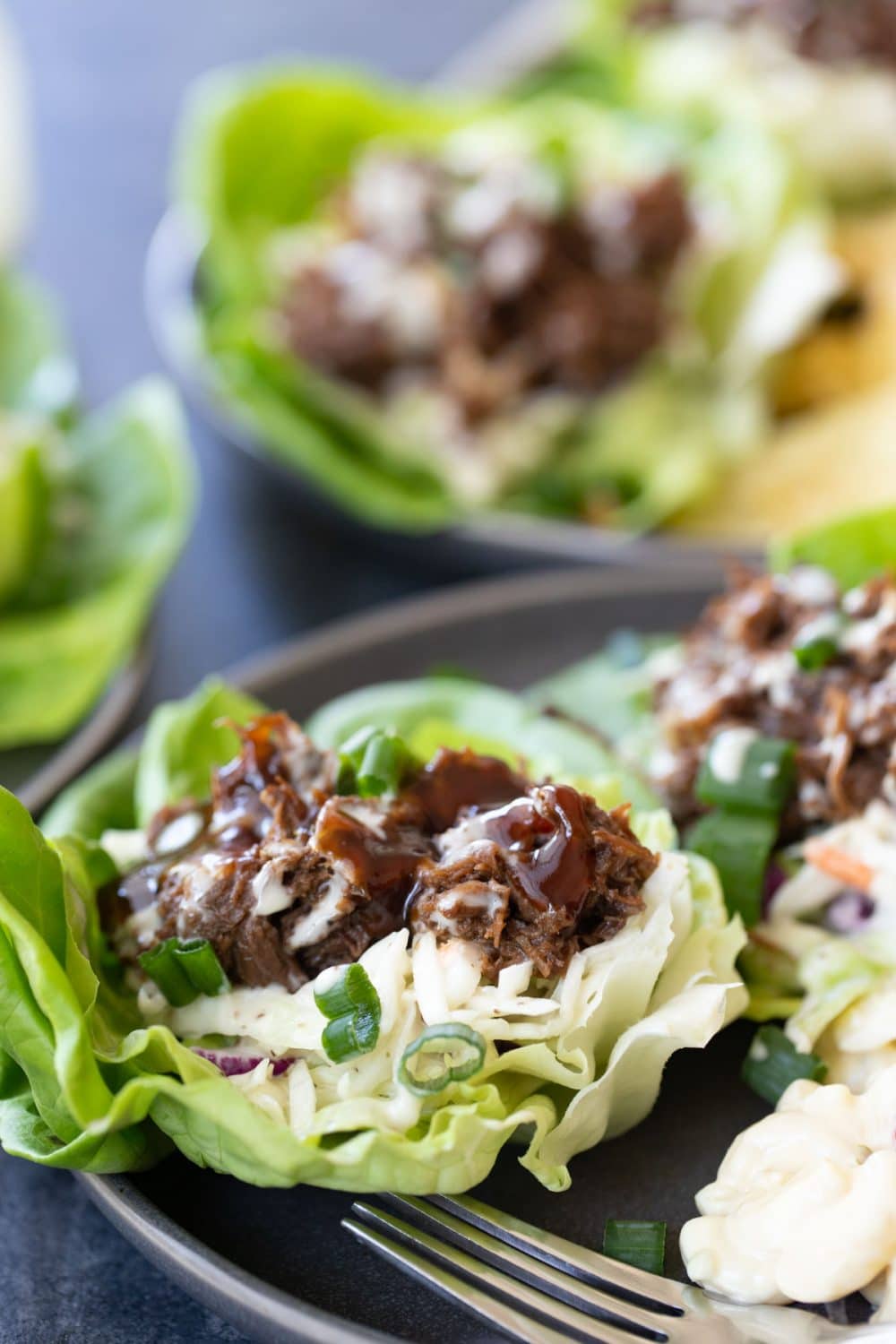 Easy Slow Cooker Shredded BBQ Beef - Hungry Hobby