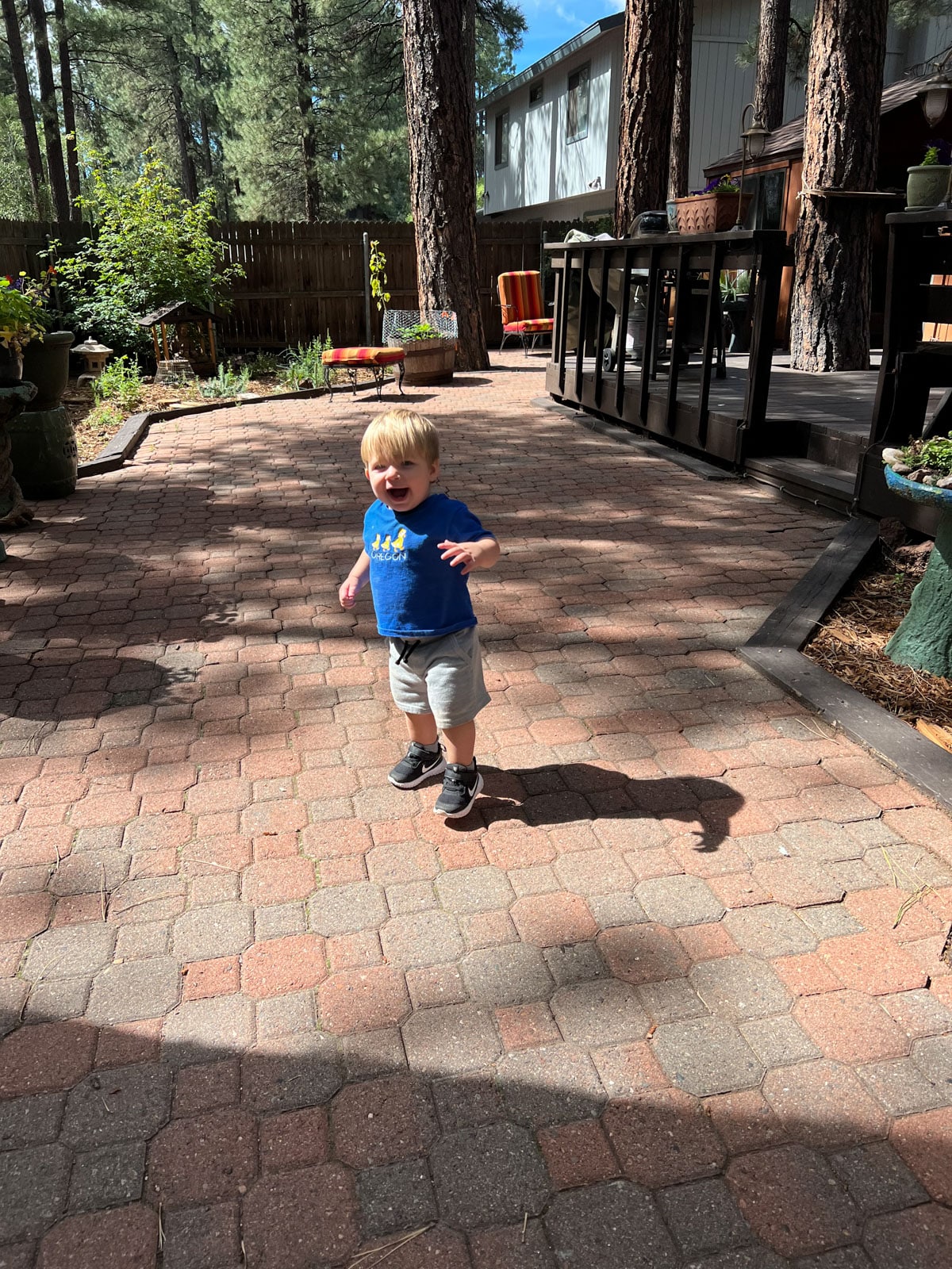 one year old in flagstaff