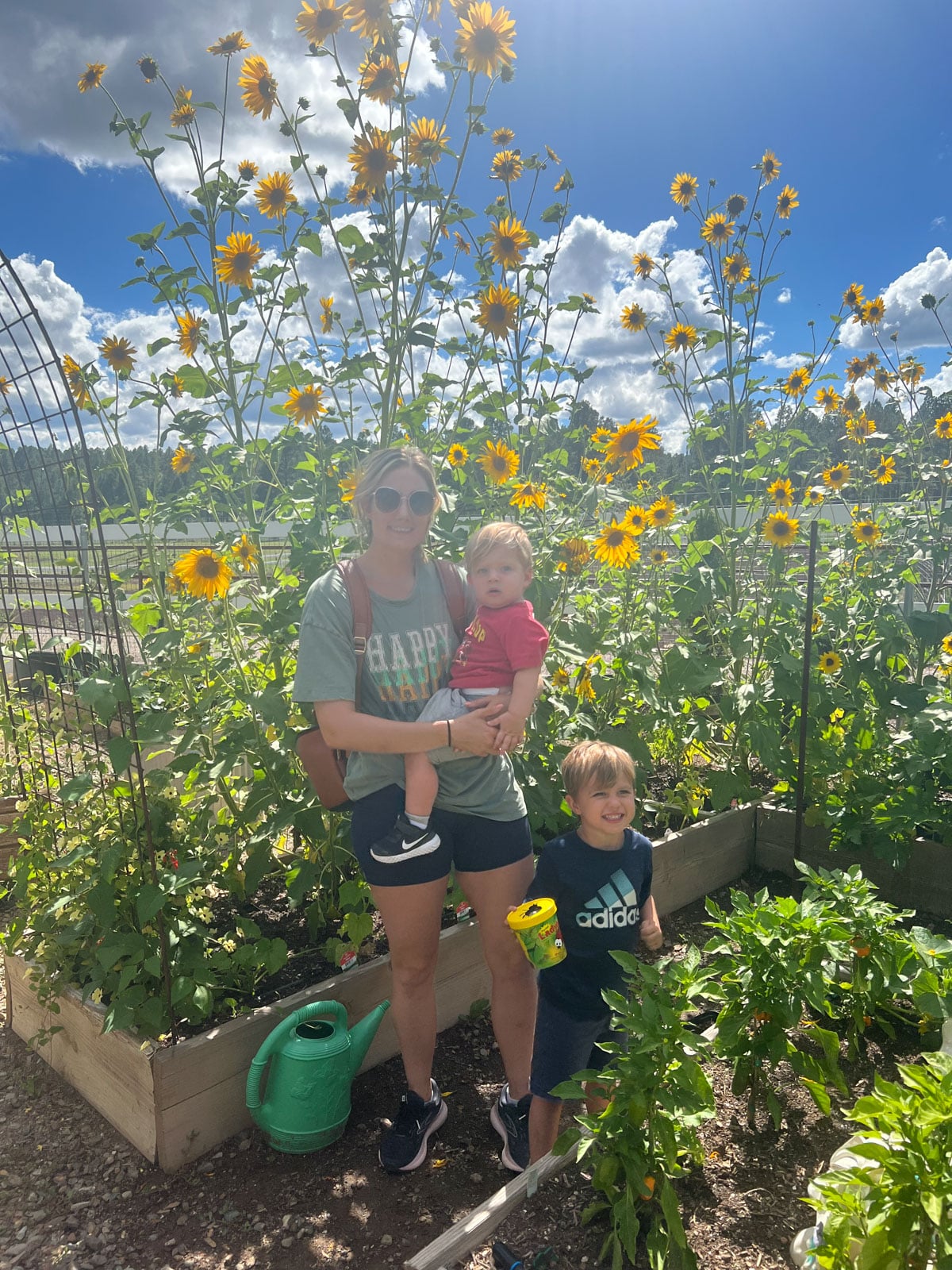 family near sunflowers