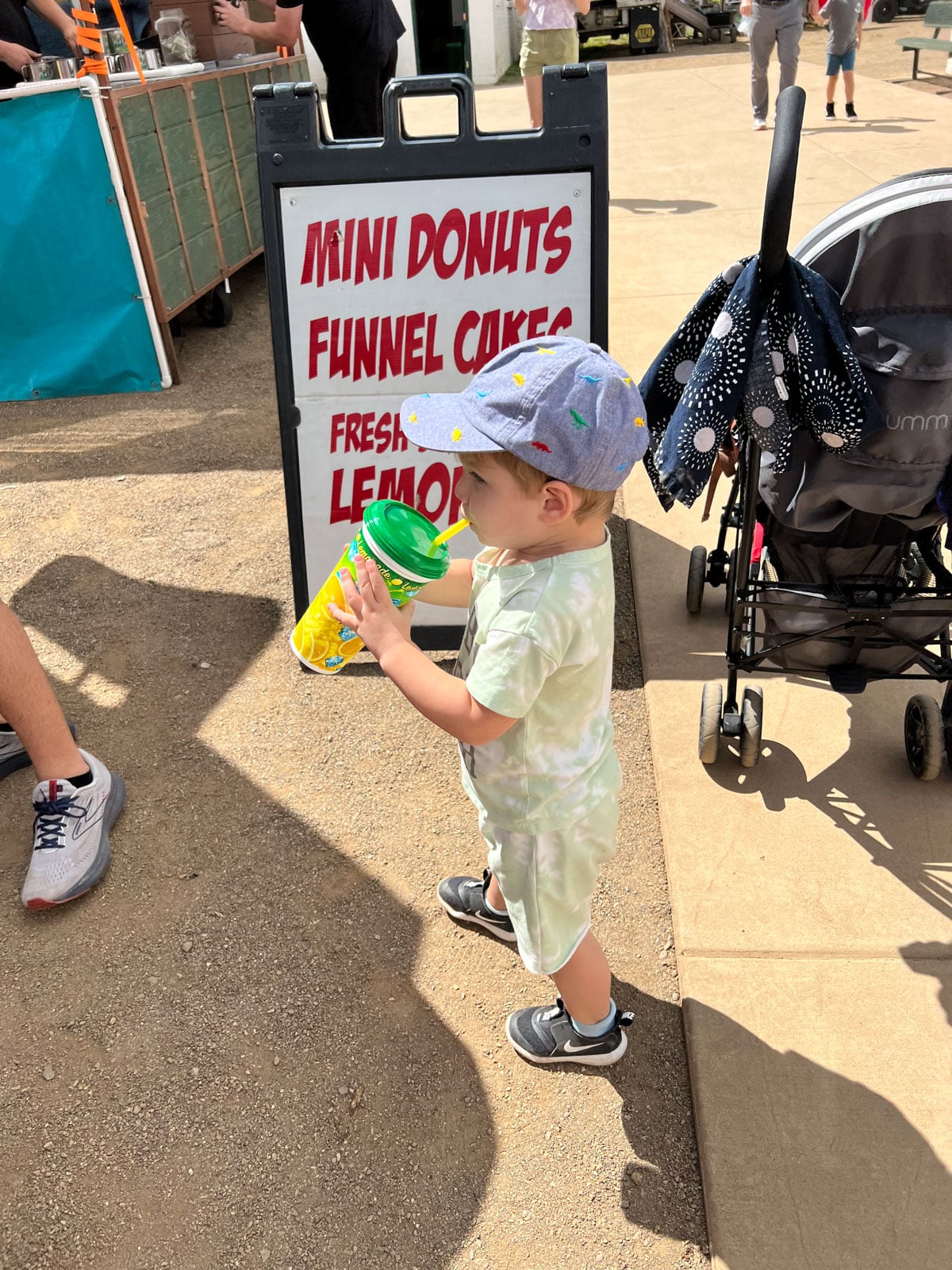 coconino county fair