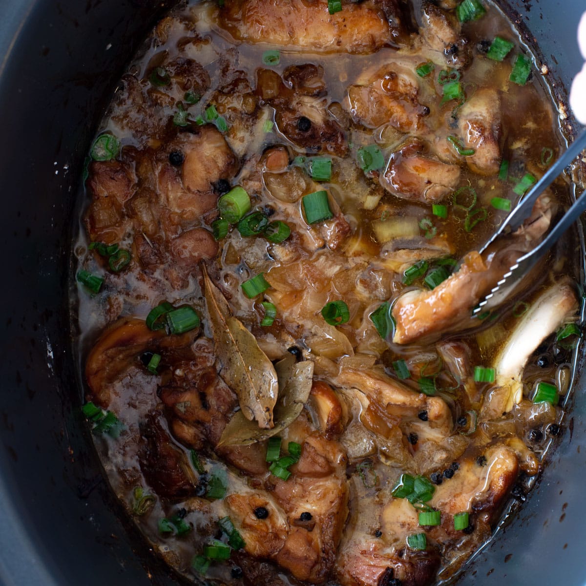  Slow Cooker Chicken Adobo - Hungry Hobby Bildidee 