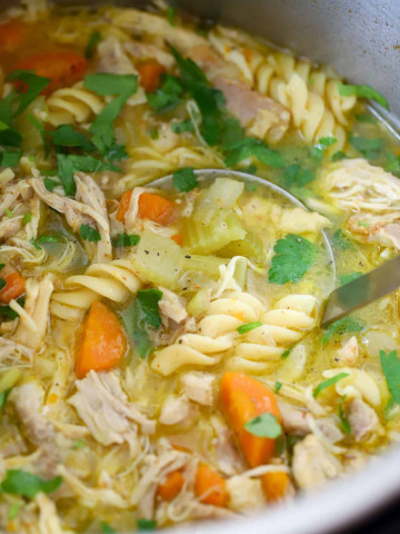 healthy chicken noodle soup instant pot