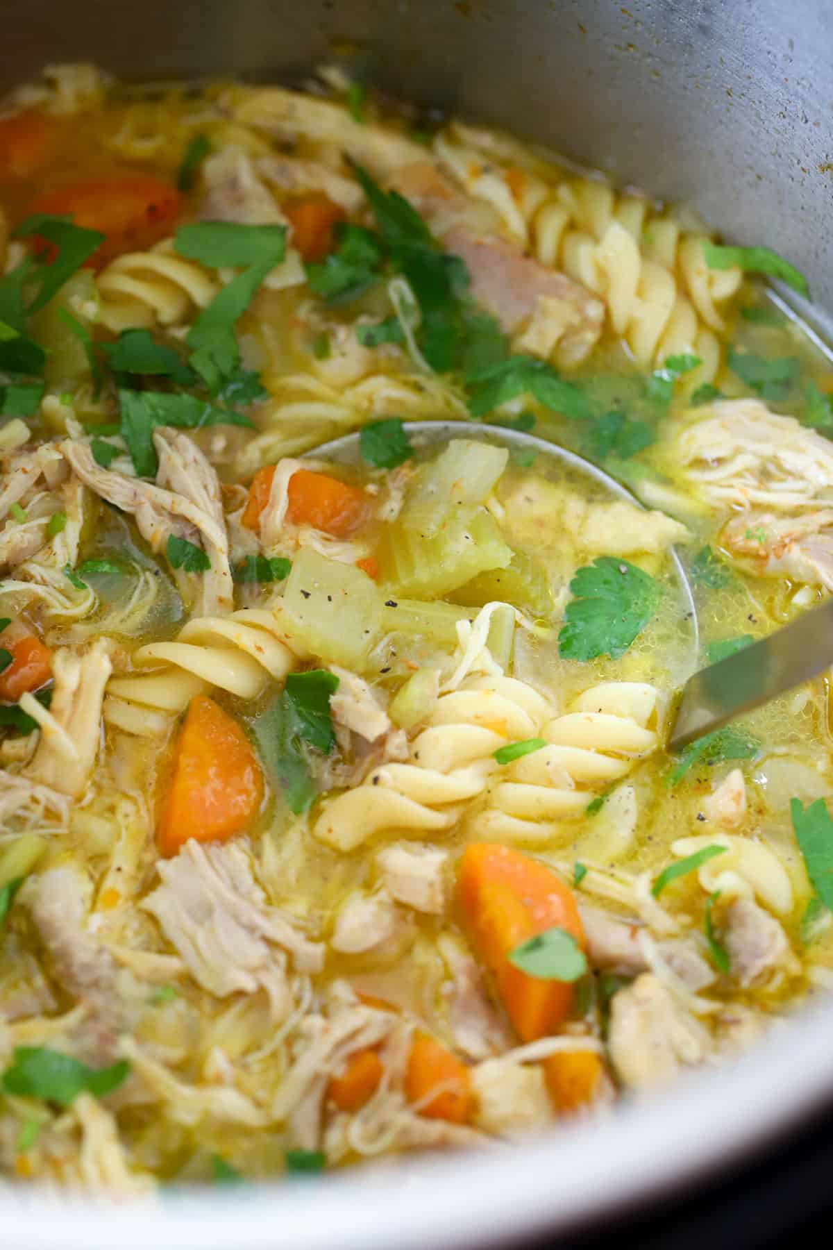 healthy chicken noodle soup instant pot