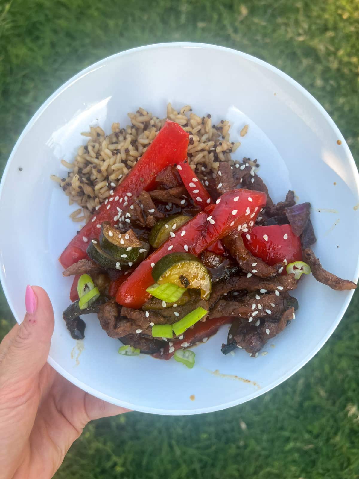 terriyaki steak stir fry