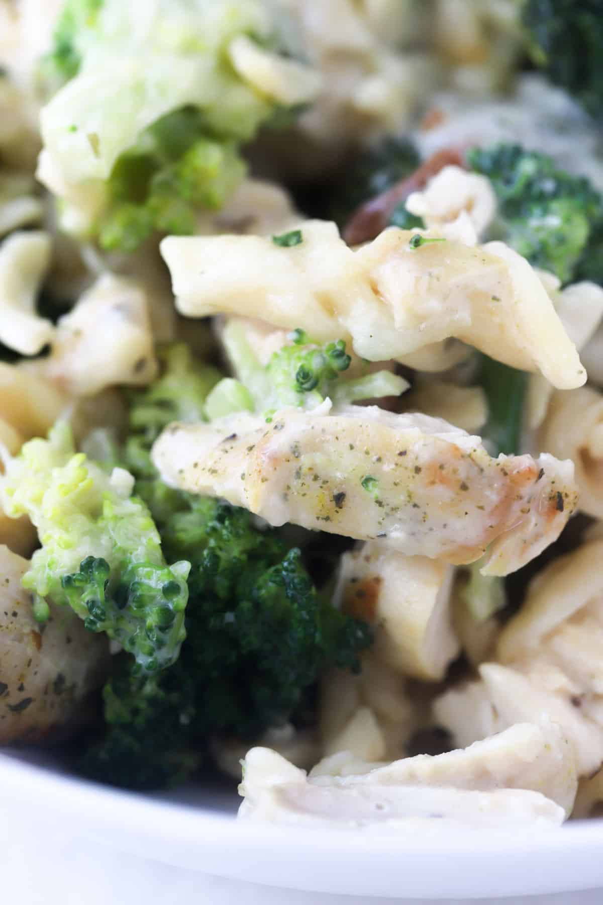 alfredo pasta