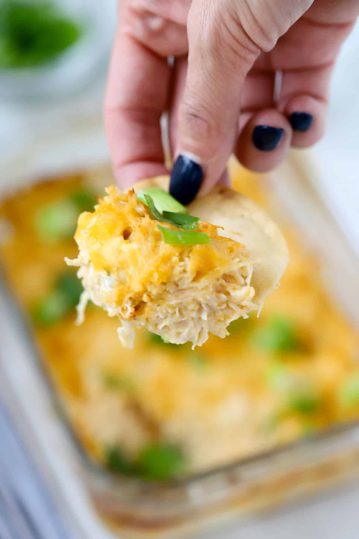 high protein buffalo chicken dip